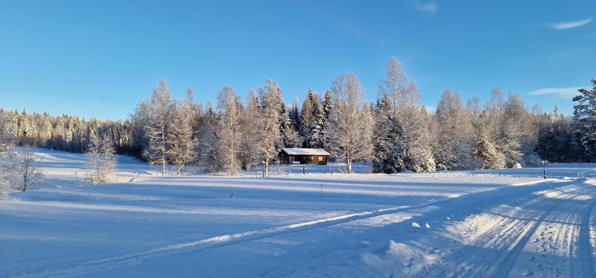 Nygard Cabins - Brandnew, Fully Equipped Home In Nature Sunne Exterior photo